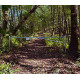 Waldschranke 3/5 m
