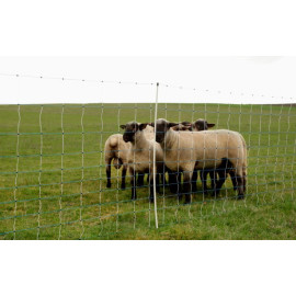 Filet de clôture moutons MaxiNet, électrifiable