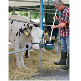 Stiel für Milchtankbürste 145 cm