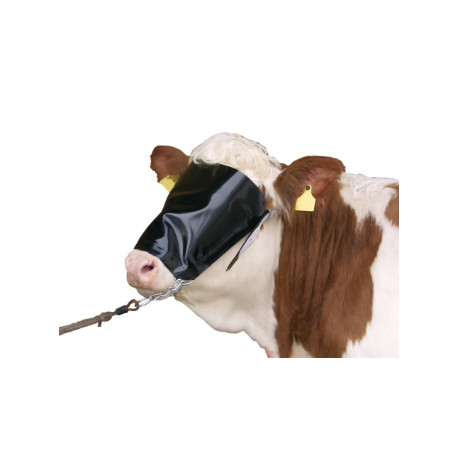 Viehblende für Kühe