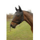 Masque anti-mouche - Poney