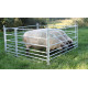 Claies à moutons amovibles avec 2 passages agneaux