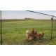 Clôture universelle Multifence, L. 25m / H. 90cm
