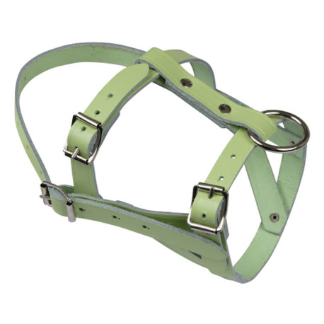 Kopfhalfter Leder für Schafe/Böcke