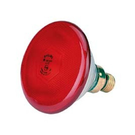 Infrarot-Sparlampe rot , 220 V / 100 W