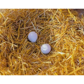 Oeufs en terre cuite