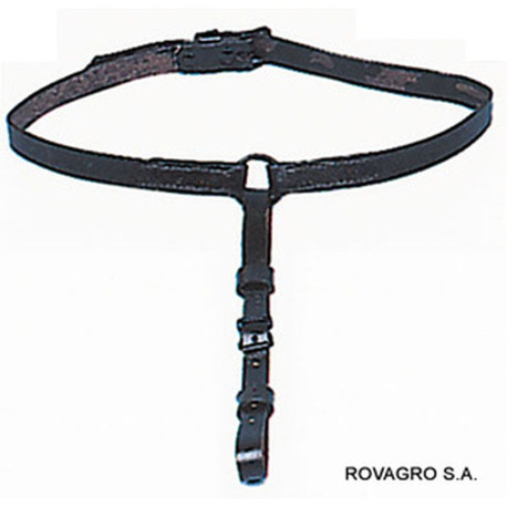 Leder Nasenringhalfter