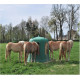 Futterraufe PE Rinder/ Pferde ohne Boden