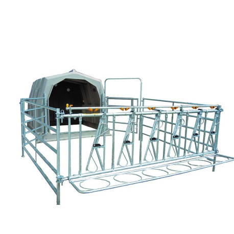 Umzäunung kollektiver Kälberunterstand