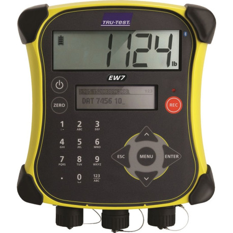 Digitalanzeige PM 650