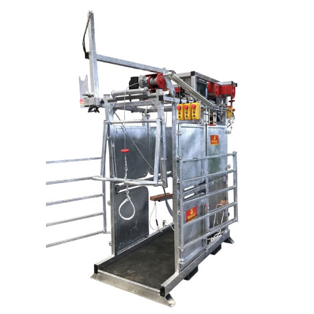 Elektrischer Klauenstand PM4600