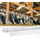 LED-Feuchtraumleuchte FarmSTAR 25W