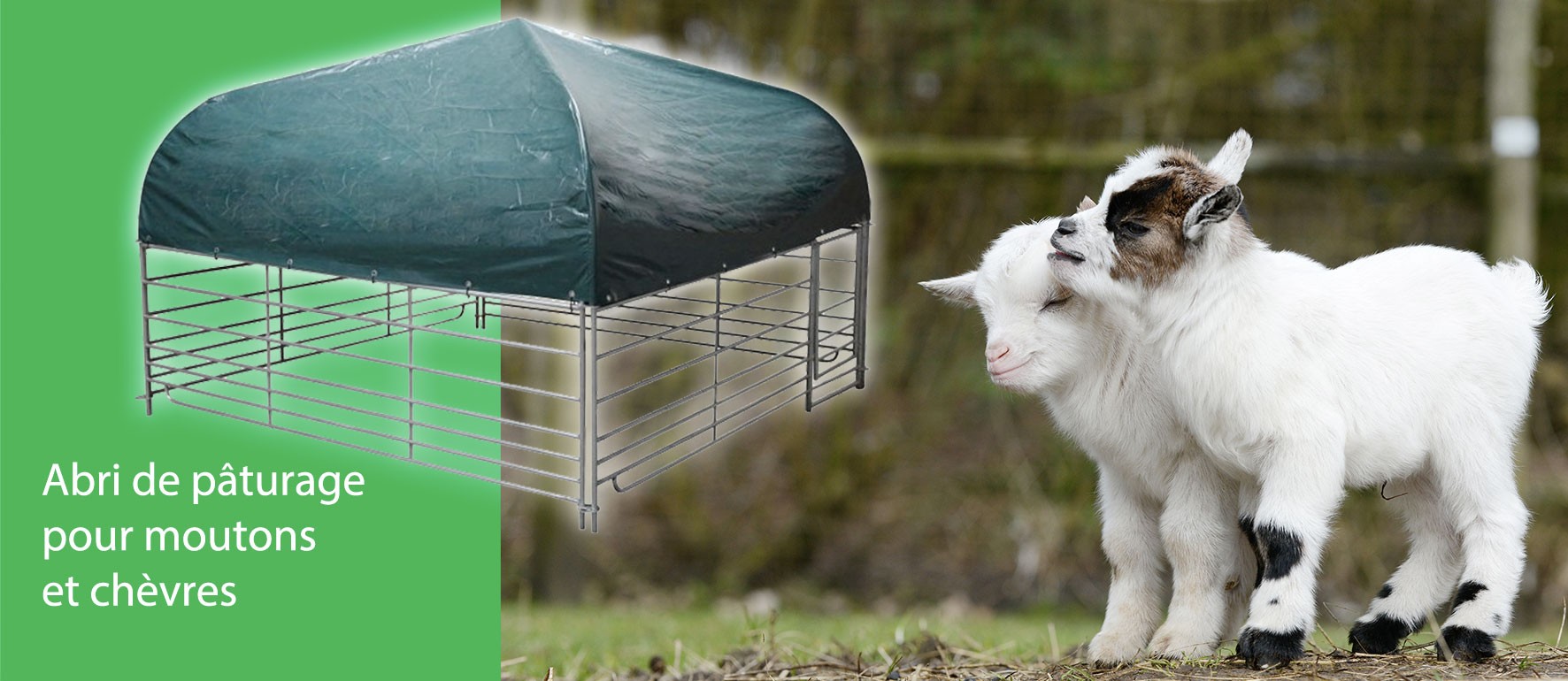 Abri de pâturage pour moutons et chèvres