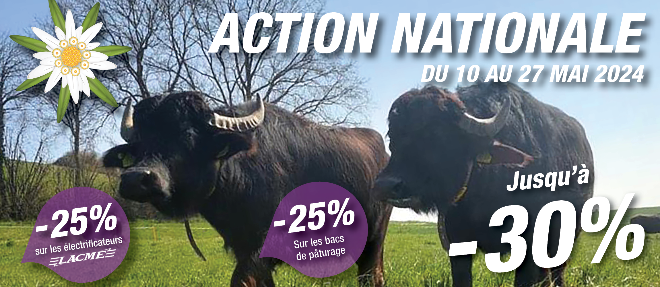 Action nationale